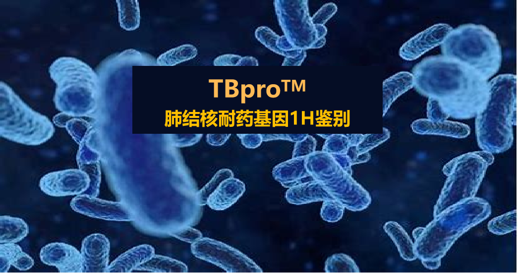 TBpro，結核菌耐藥譜