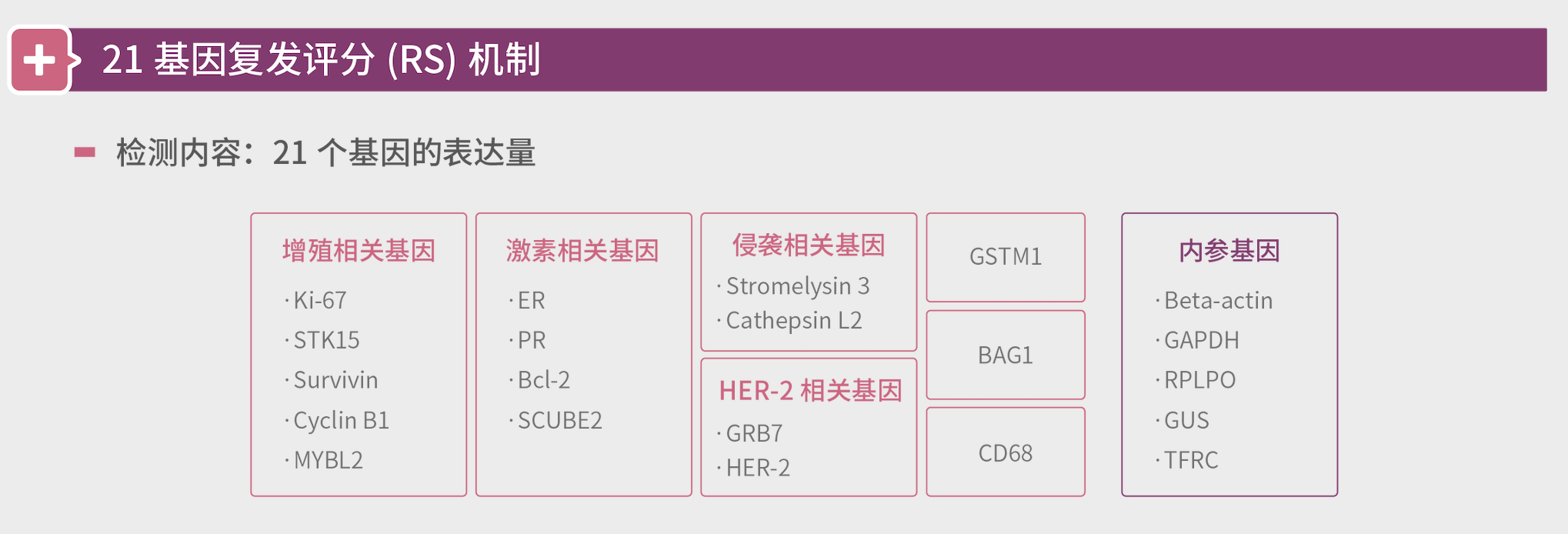 拓普基因-普姿康-乳腺癌21基因檢測